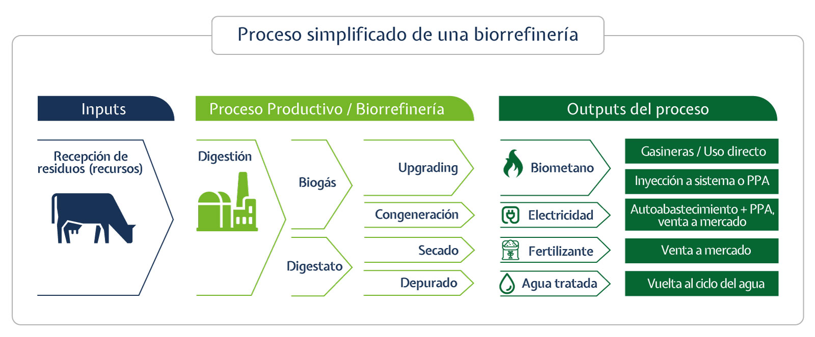 Proceso simplificado de una Biorrefinería