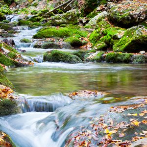 Stream of cold mountain river going down surrounded by green grass and rocks on shore on summer day. Travelling, meditation, destination scenic, nature loving concept